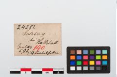Etiketten zu Bronzegürtelhaken (NHMW-PRAE-024281)